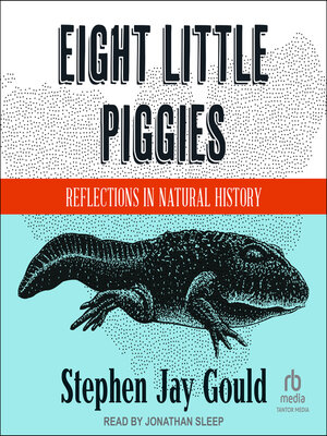 cover image of Eight Little Piggies